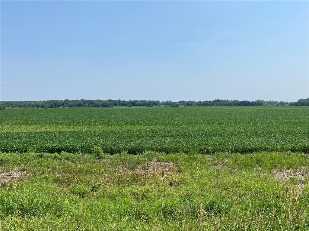 40525 Highway 65 NE Stanchfield Twp MN 55006 6768330 image3