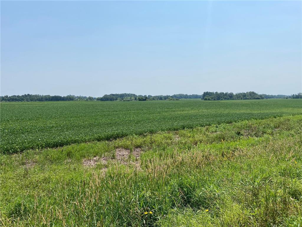 40525 Highway 65 NE Stanchfield Twp MN 55006 6768330 image4