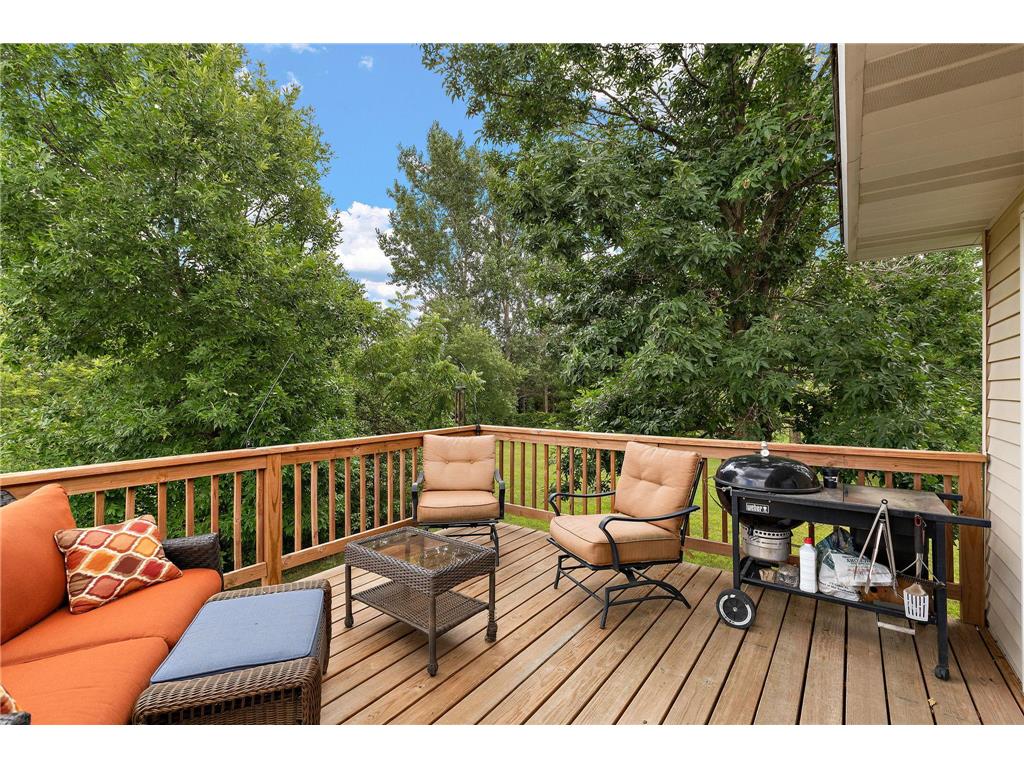 40533 Golden Avenue North Branch MN 55056 7114970 image14