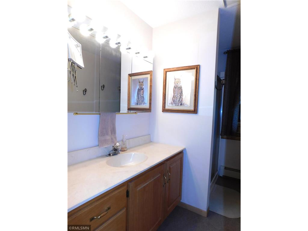 40559 321st Lane Aitkin MN 56431 - Hanging Kettle 6789522 image43