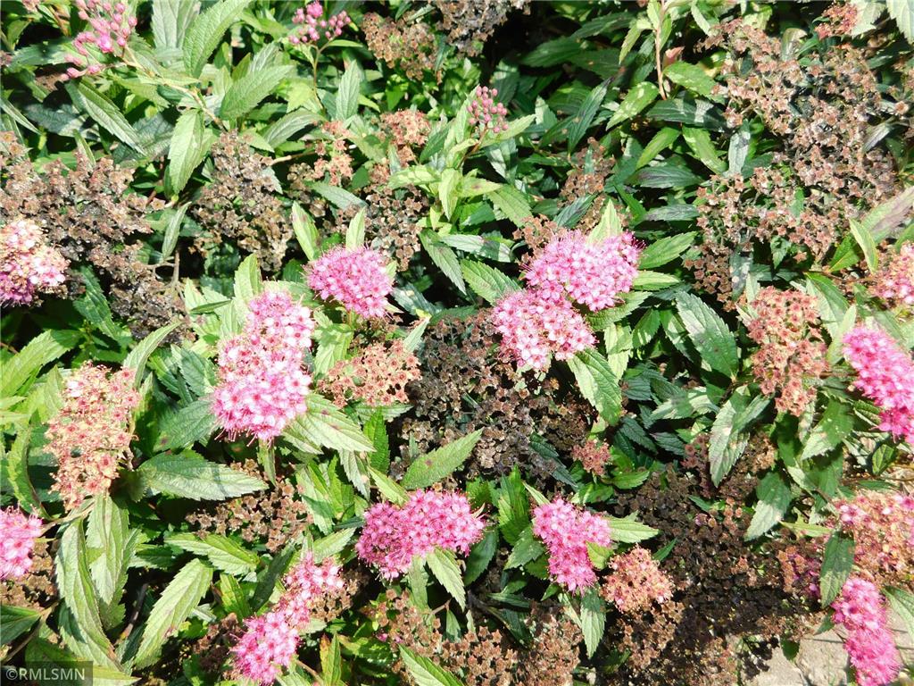 40559 321st Lane Aitkin MN 56431 - Hanging Kettle 6789522 image79