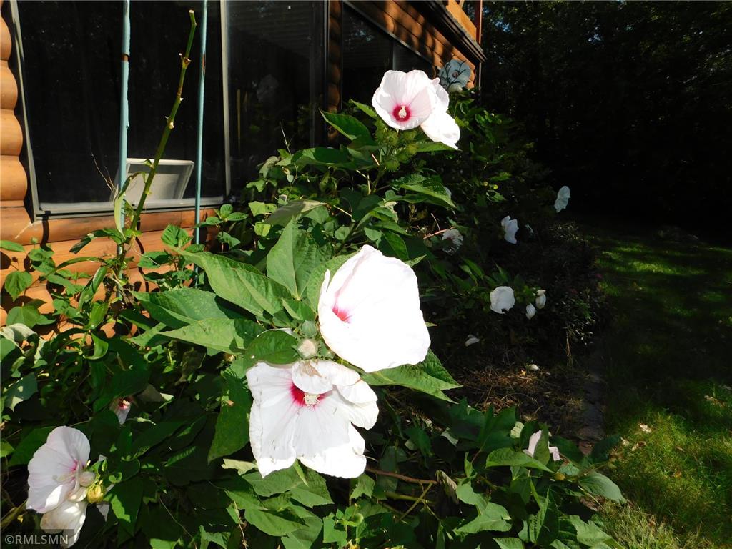 40559 321st Lane Aitkin MN 56431 - Hanging Kettle 6789522 image80