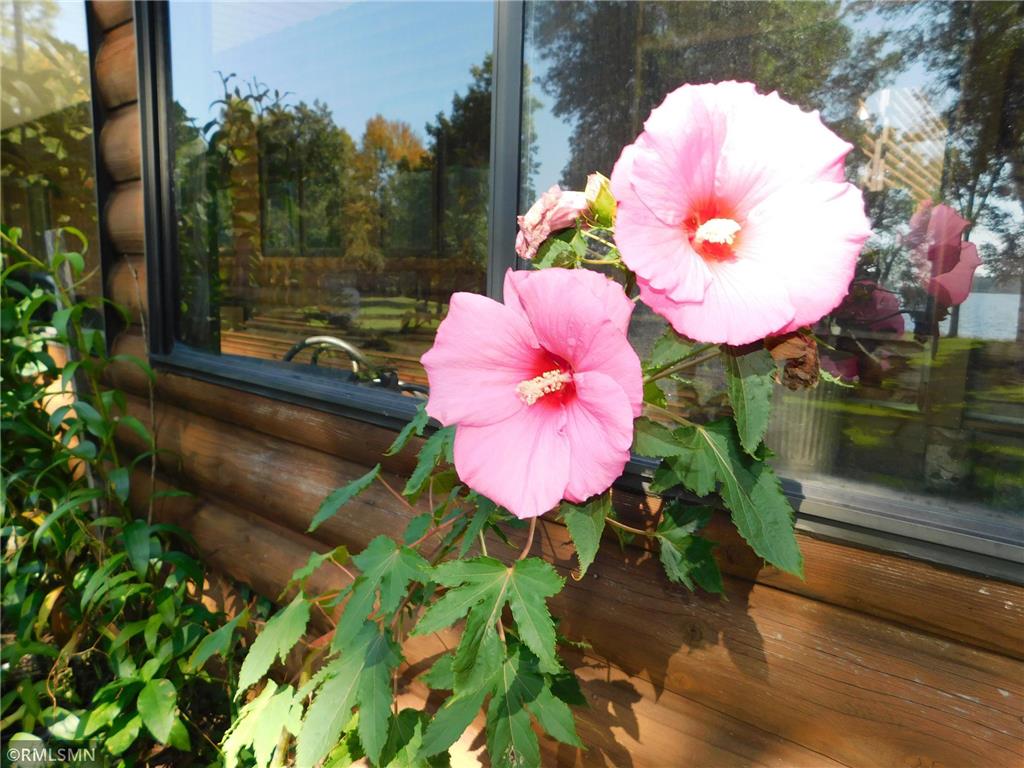 40559 321st Lane Aitkin MN 56431 - Hanging Kettle 6789522 image81