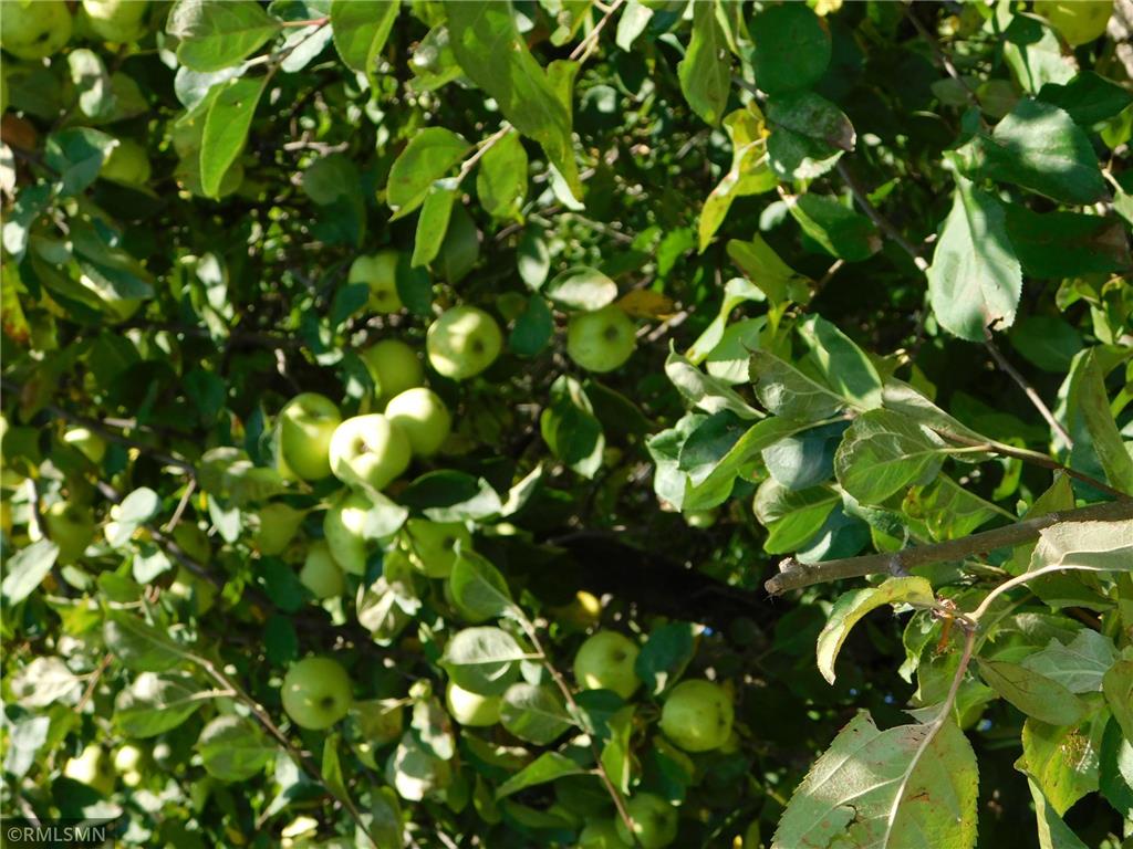 40559 321st Lane Aitkin MN 56431 - Hanging Kettle 6789522 image83