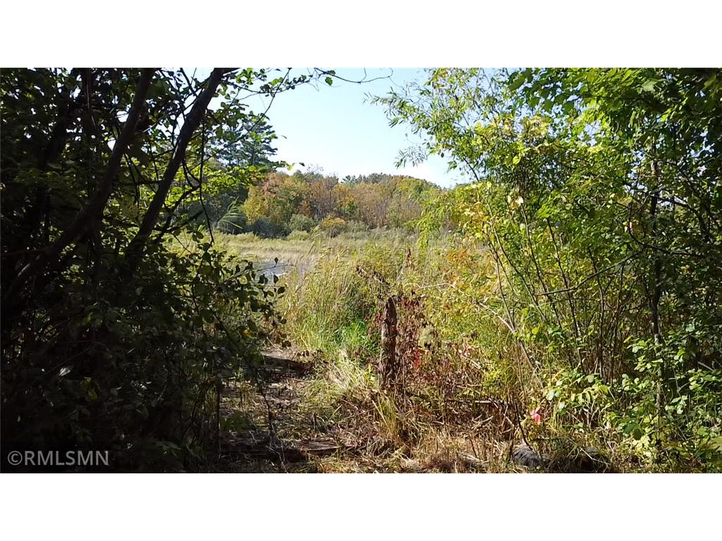 40559 321st Lane Aitkin MN 56431 - Hanging Kettle 6789522 image89