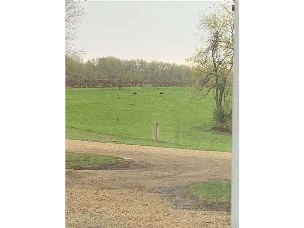 40580 Bow Trail Holden Twp MN 55053 7057602 image192