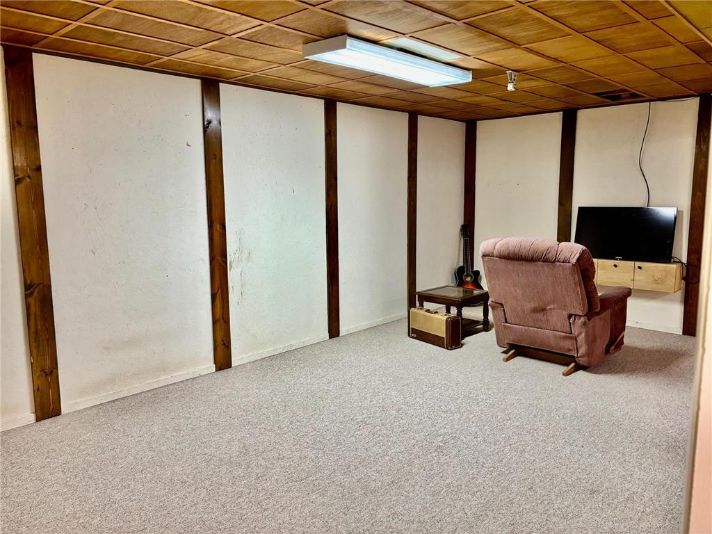 406 Robin Road Albert Lea MN 56007 7034380 image33