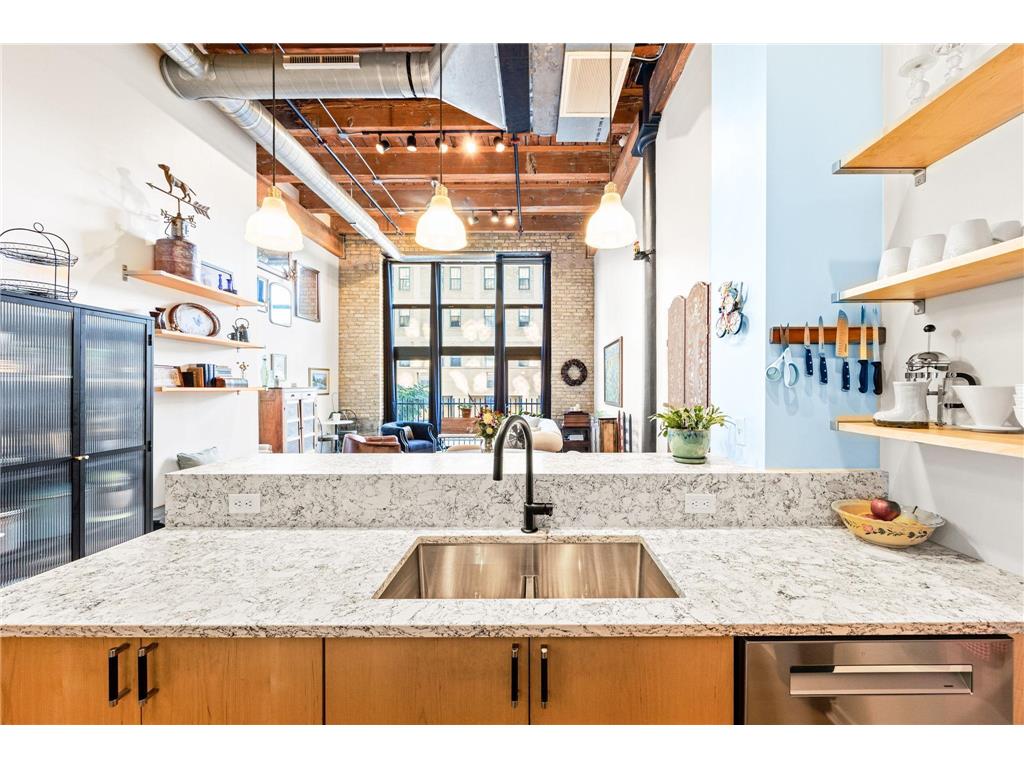 406 Wacouta Street #107 Saint Paul MN 55101 6781676 image1