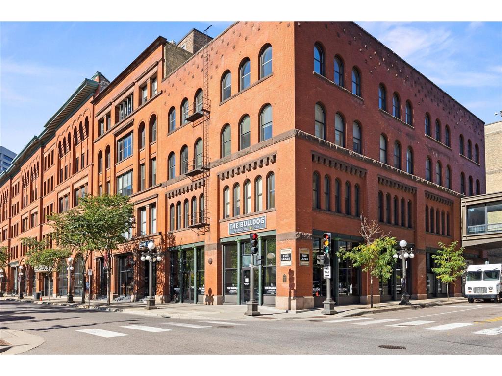 406 Wacouta Street #107 Saint Paul MN 55101 6781676 image41