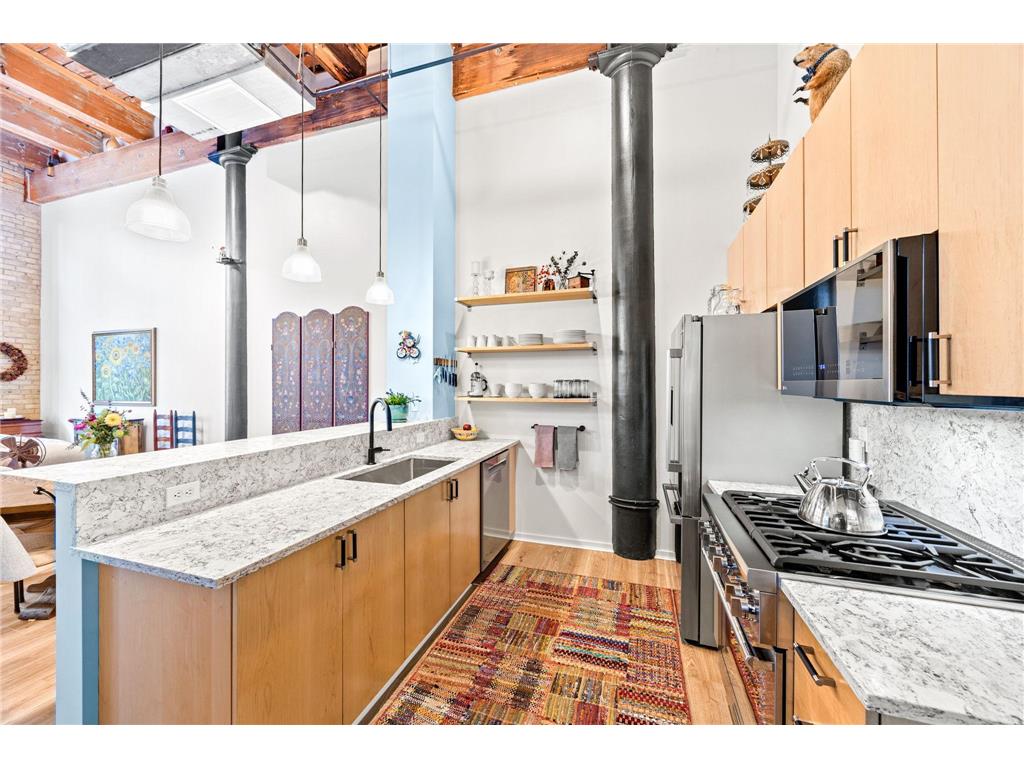 406 Wacouta Street #107 Saint Paul MN 55101 6781676 image8