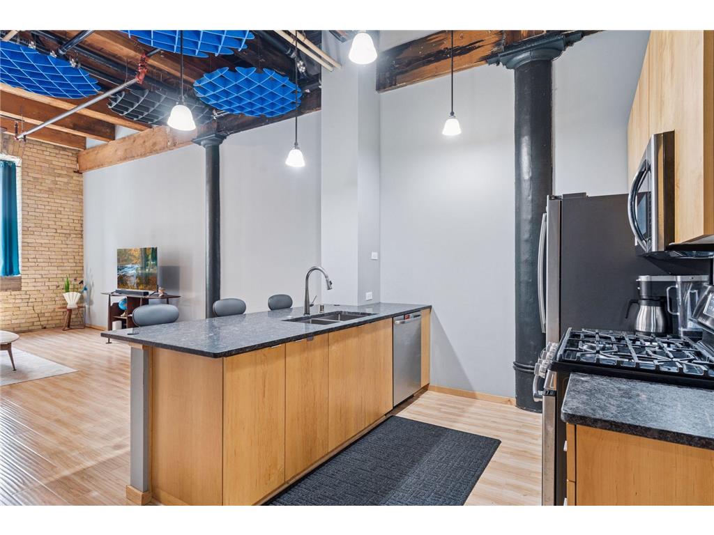 406 Wacouta Street #207 Saint Paul MN 55101 6743658 image15