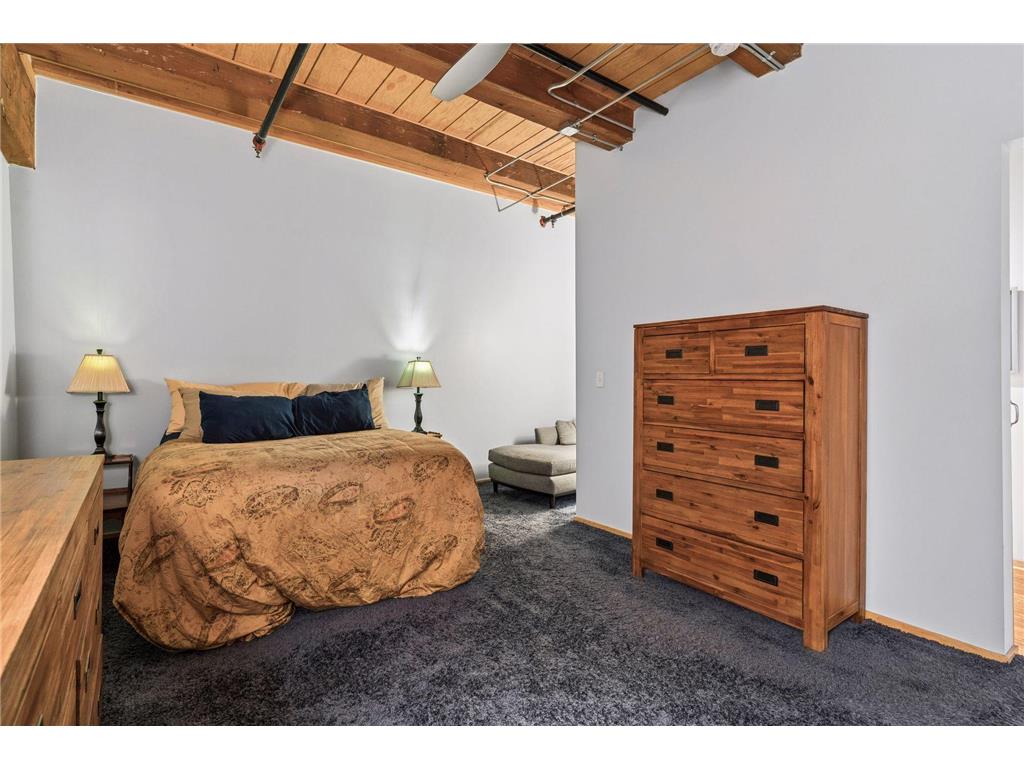 406 Wacouta Street #413 Saint Paul MN 55101 7039920 image13