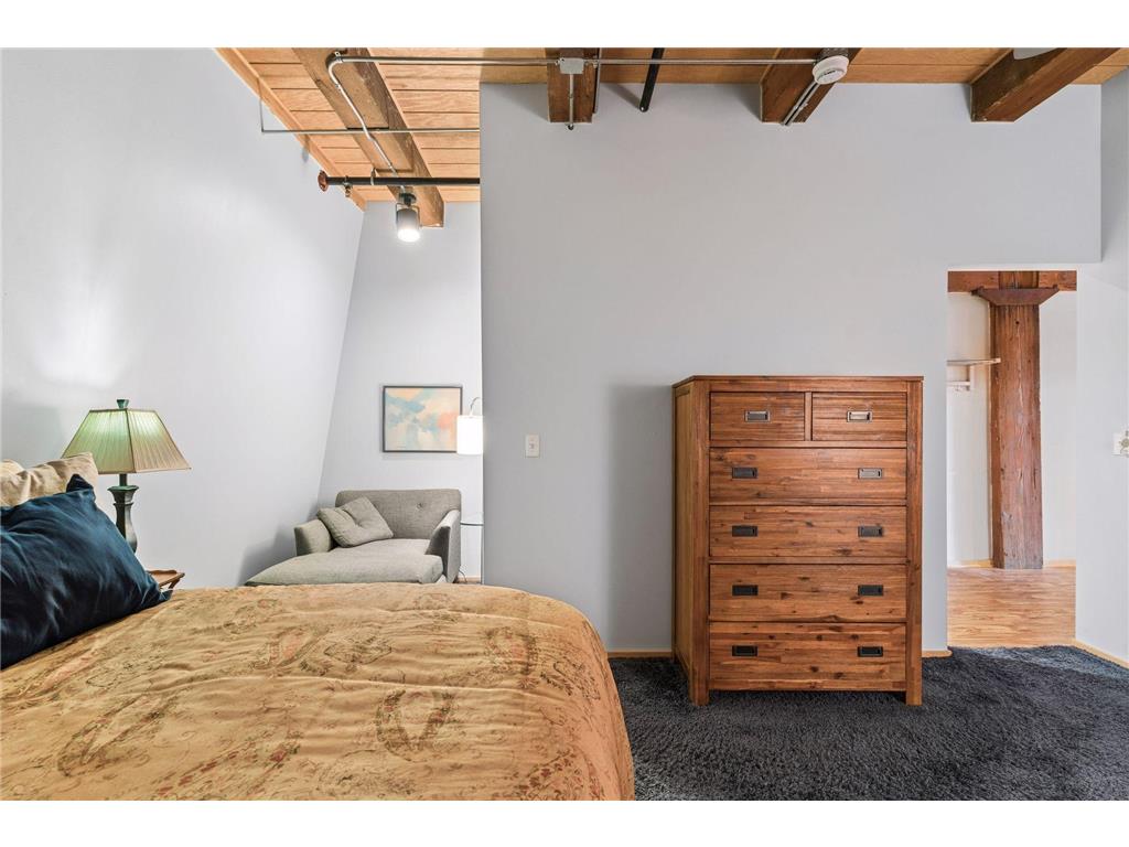 406 Wacouta Street #413 Saint Paul MN 55101 7039920 image15