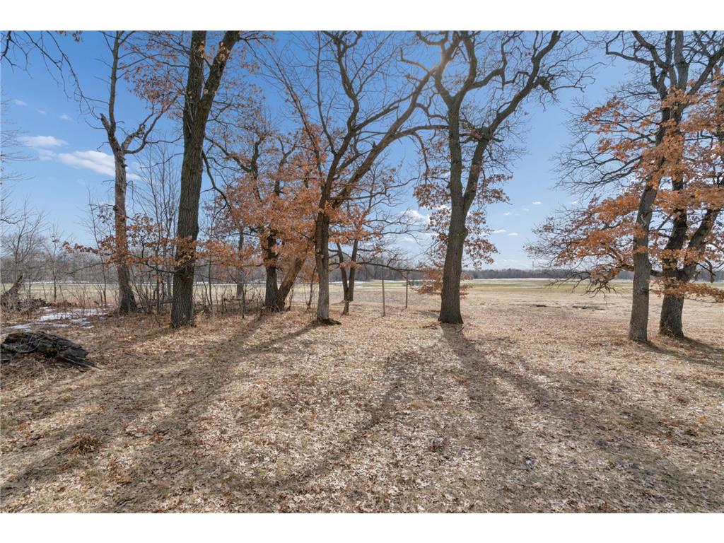 4068 155th Avenue NE Andover MN 55304 7017811 image6