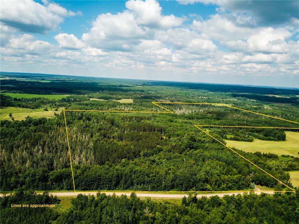 40699 Jack Pine Road Holst Twp MN 56621 6779596 image1