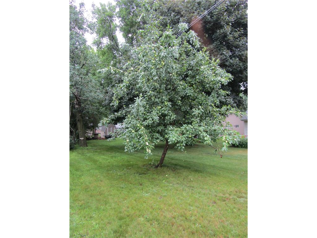 407 Eichelberger Avenue Montevideo MN 56265 7106119 image48