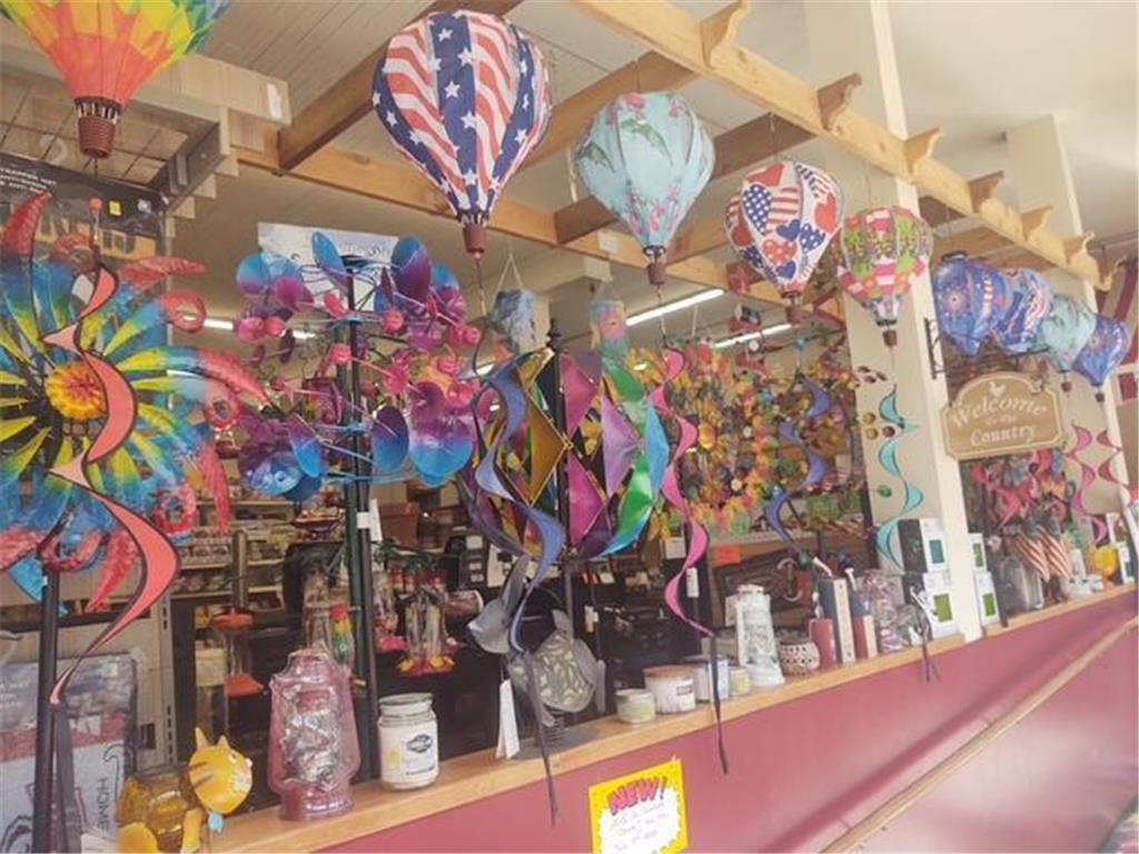 407 Main Street Plum City WI 54761 6819591 image3