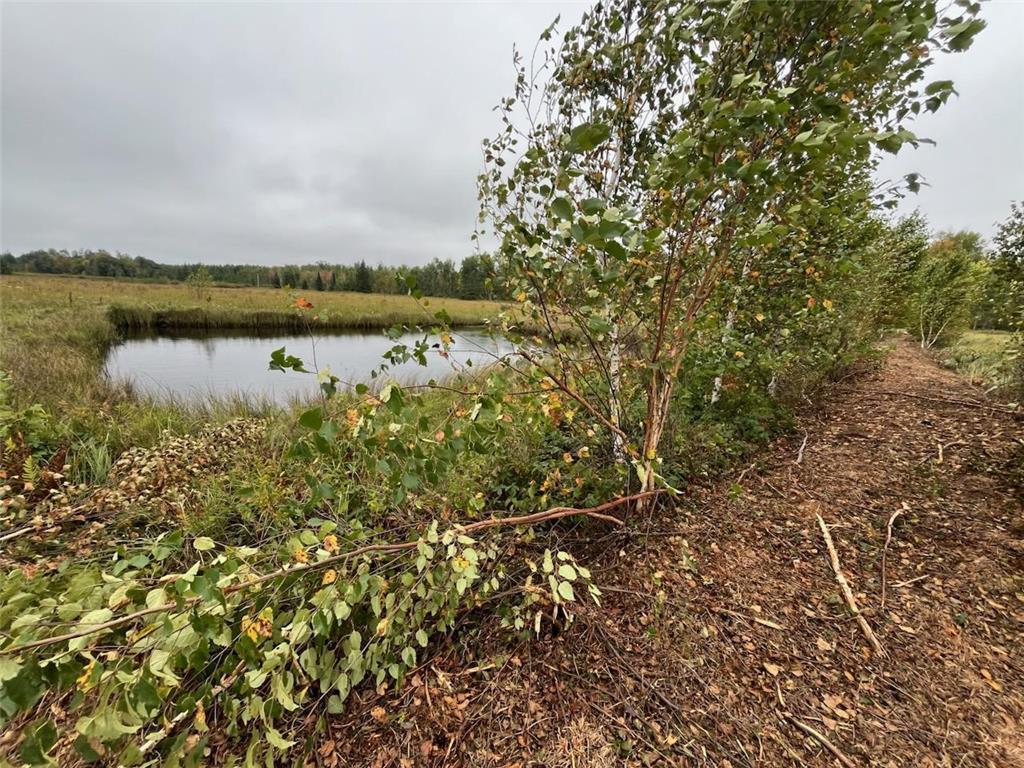 40732 COUNTY RD 67 Hill City MN 55748 6792071 image10