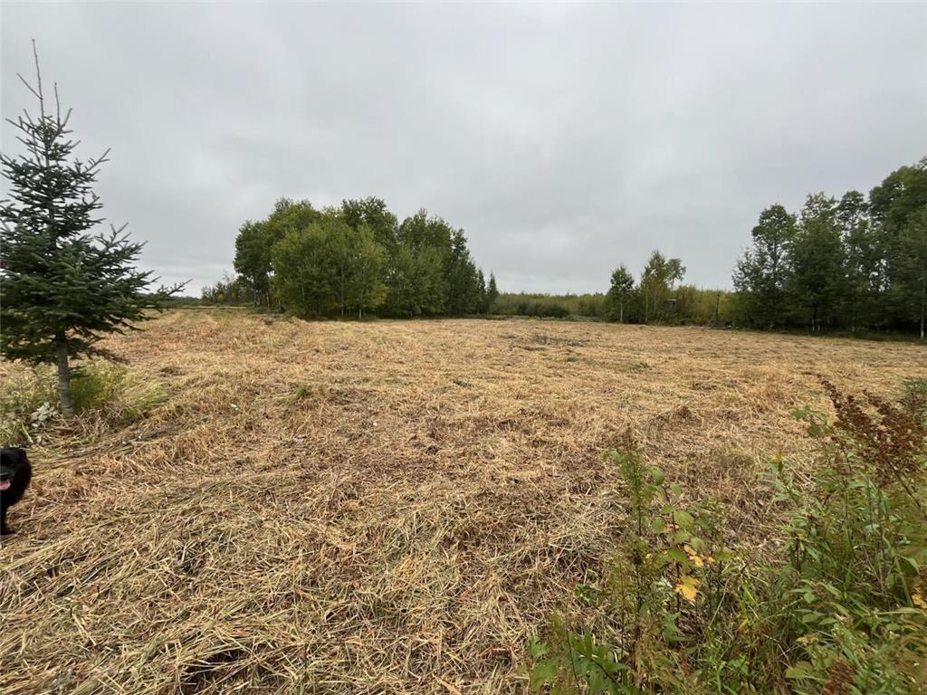 40732 COUNTY RD 67 Hill City MN 55748 6792071 image11