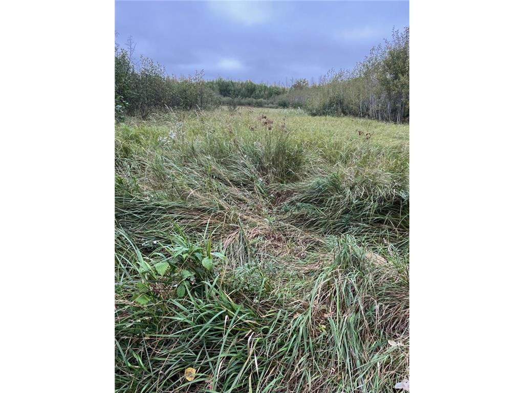 40732 COUNTY RD 67 Hill City MN 55748 6792071 image14