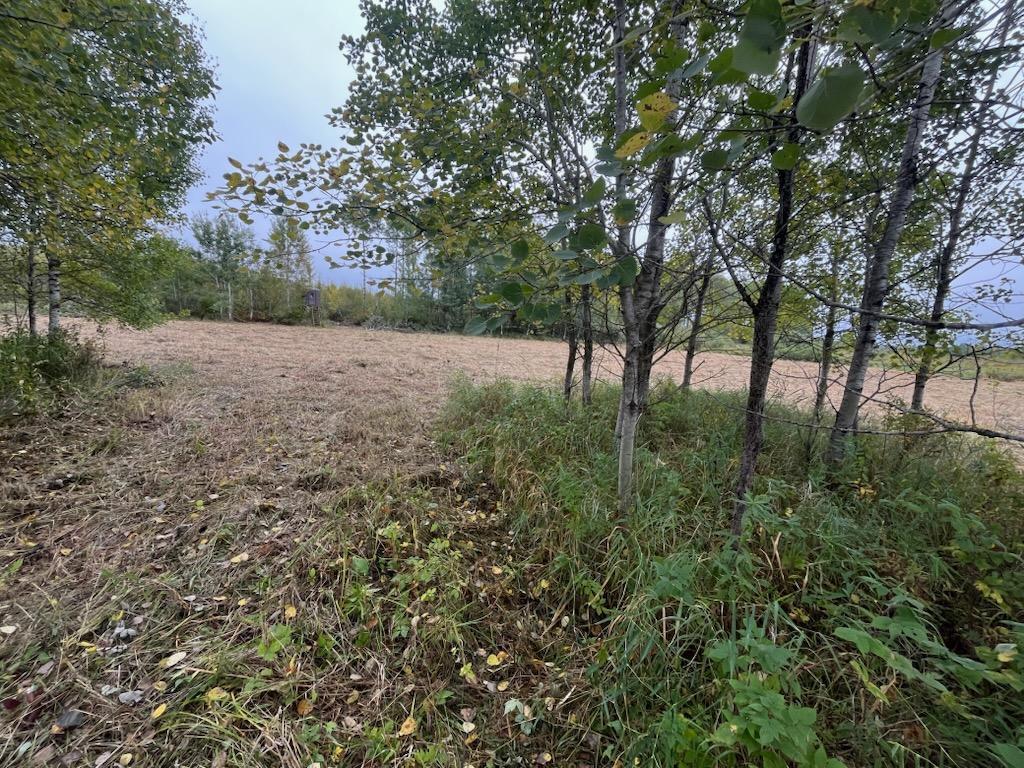 40732 COUNTY RD 67 Hill City MN 55748 6792071 image21