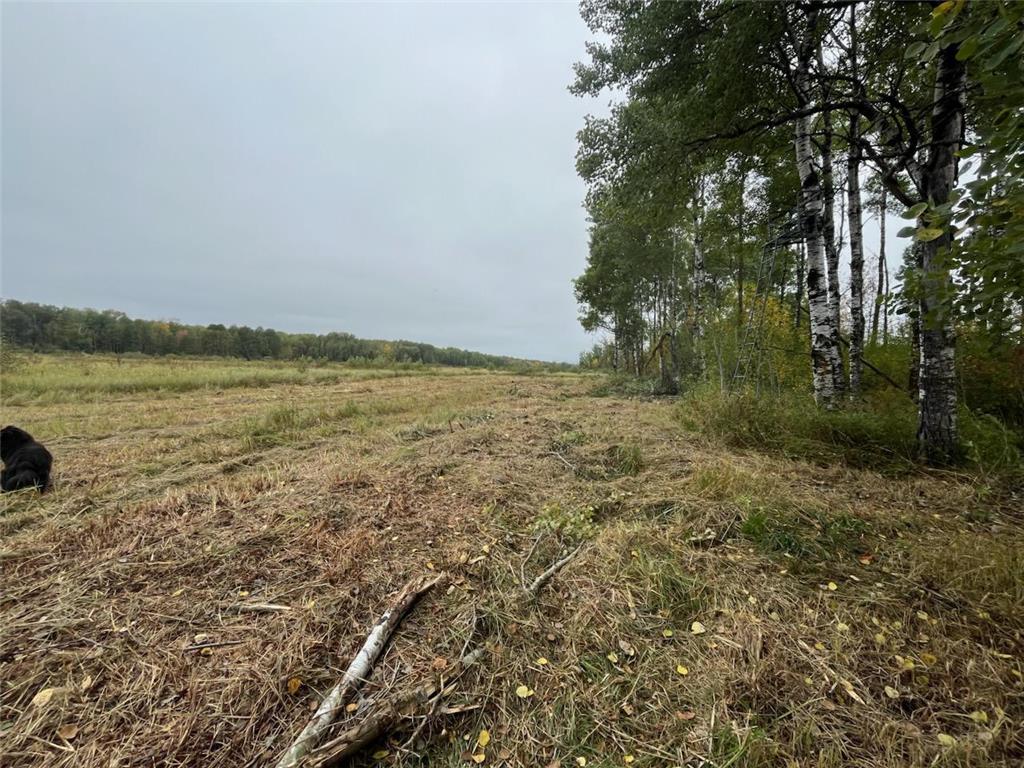 40732 COUNTY RD 67 Hill City MN 55748 6792071 image22