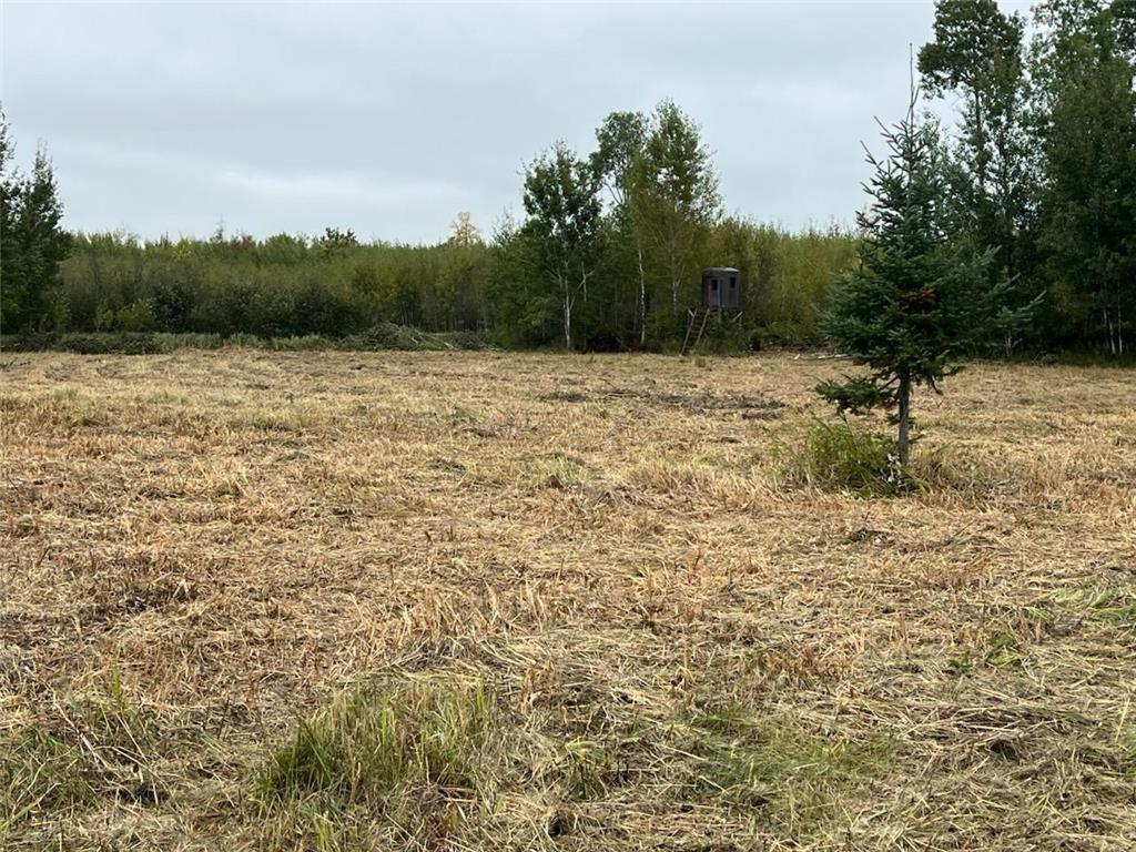 40732 COUNTY RD 67 Hill City MN 55748 6792071 image24