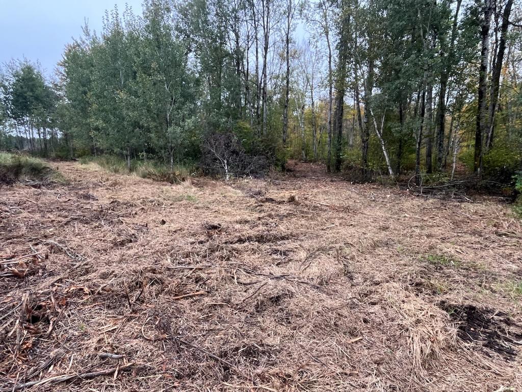 40732 COUNTY RD 67 Hill City MN 55748 6792071 image25