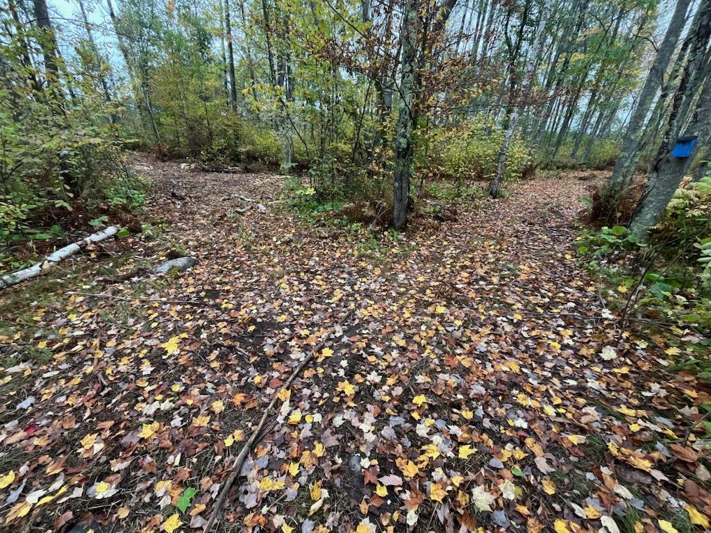 40732 COUNTY RD 67 Hill City MN 55748 6792071 image3