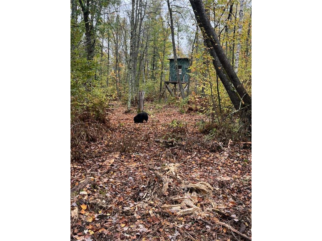 40732 COUNTY RD 67 Hill City MN 55748 6792071 image4