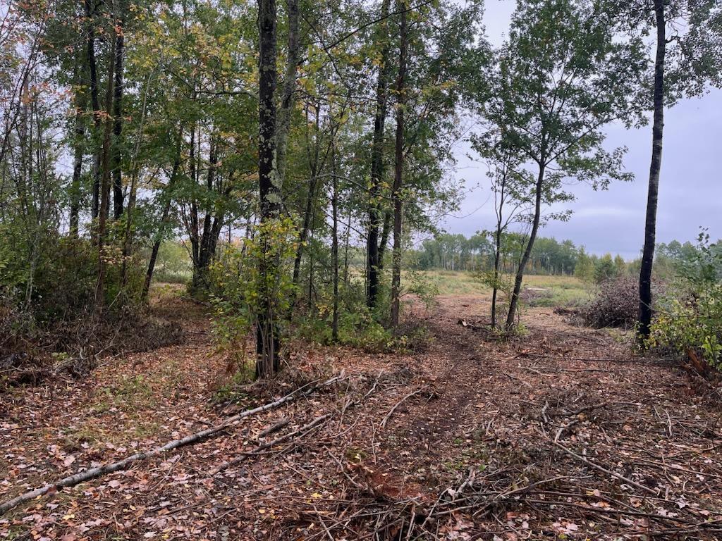 40732 COUNTY RD 67 Hill City MN 55748 6792071 image8