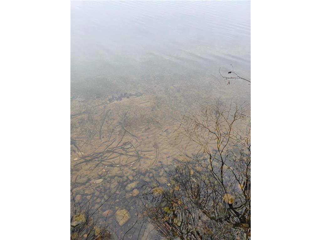 40749 County Road 612 Nashwauk MN 55769 - Shoal Lake 7033641 image14