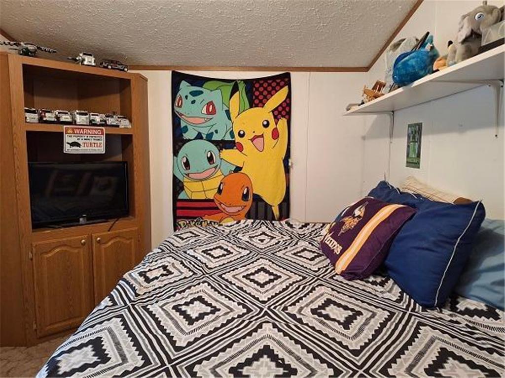 4075 State Highway 38 Grand Rapids MN 55744 6671511 image10