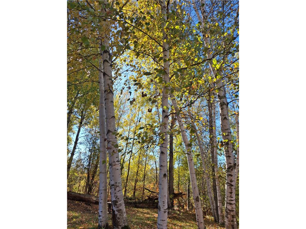 4075 State Highway 38 Grand Rapids MN 55744 6671511 image17