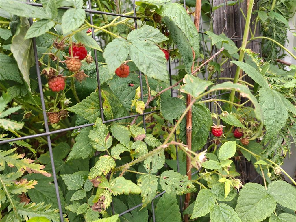 4075 State Highway 38 Grand Rapids MN 55744 6671511 image18