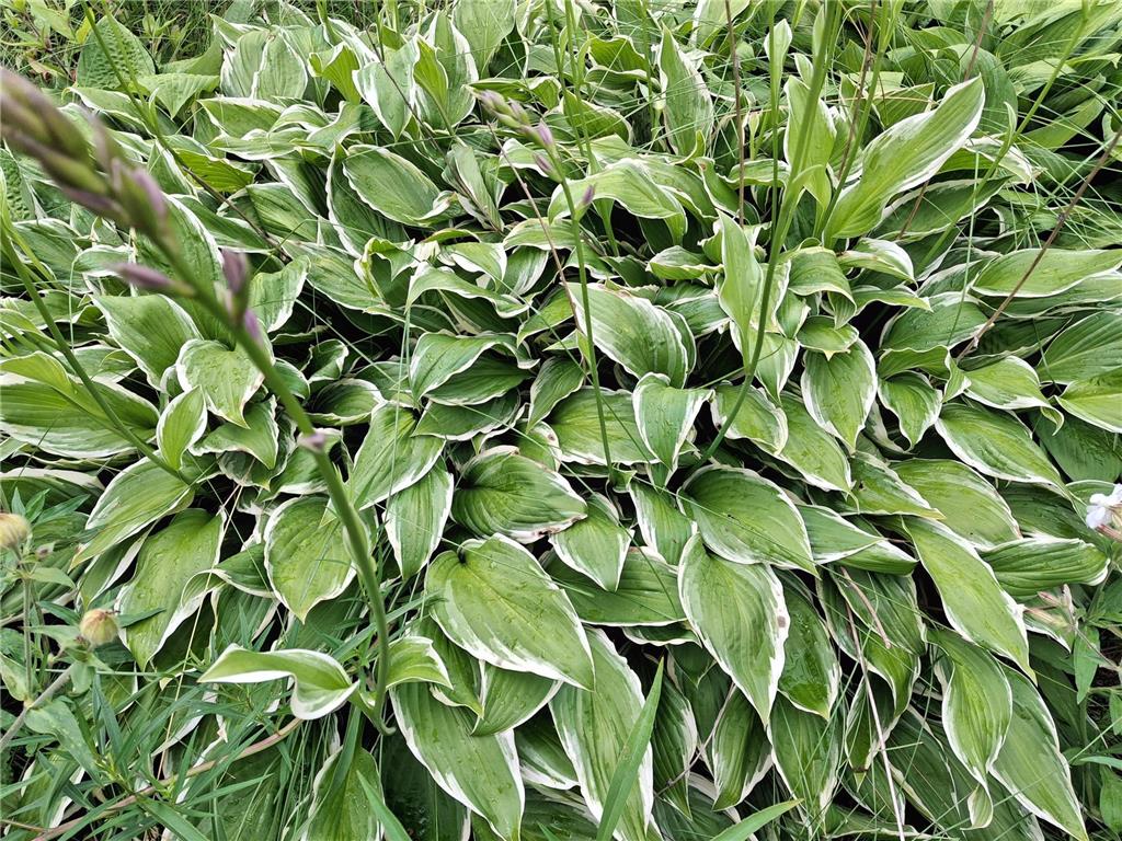 4075 State Highway 38 Grand Rapids MN 55744 6671511 image20