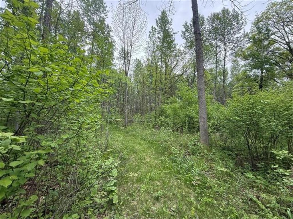 40781 County 2 Shevlin MN 56621 7084968 image10
