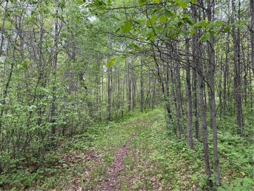 40781 County 2 Shevlin MN 56621 7084968 image11