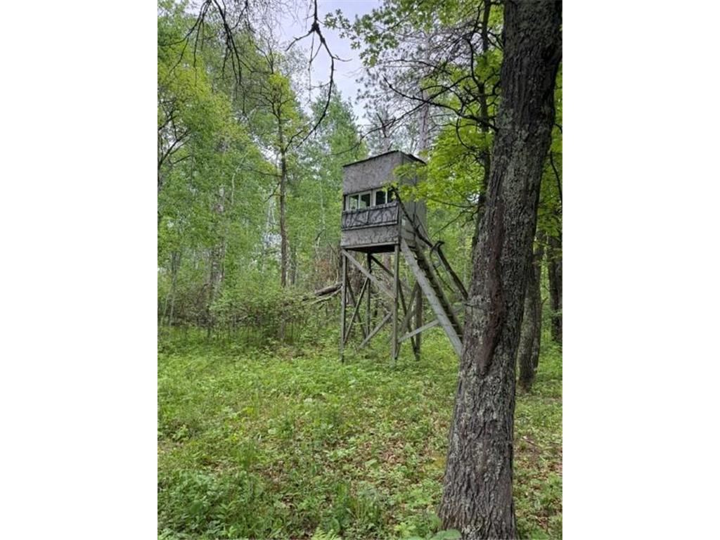 40781 County 2 Shevlin MN 56621 7084968 image13