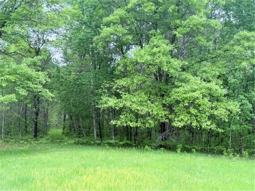 40781 County 2 Shevlin MN 56621 7084968 image15