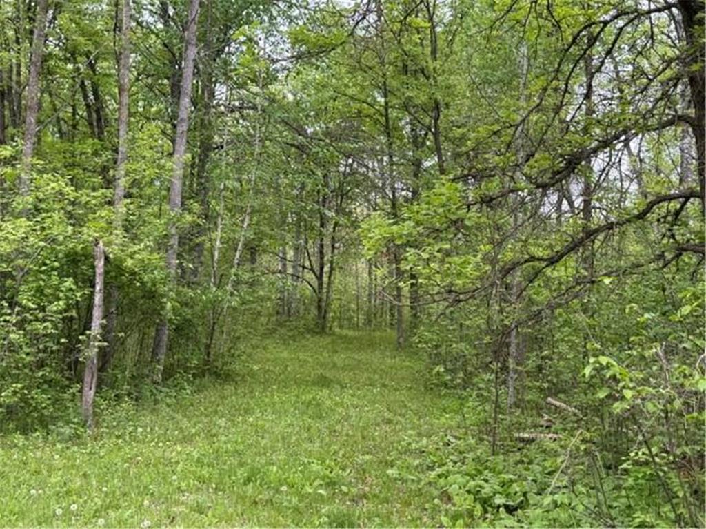 40781 County 2 Shevlin MN 56621 7084968 image8