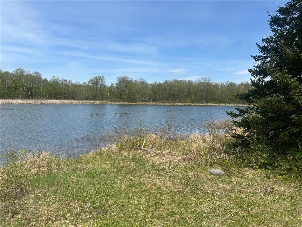 40782 Little Sugar Lake Road Cohasset MN 55721 7081571 image5