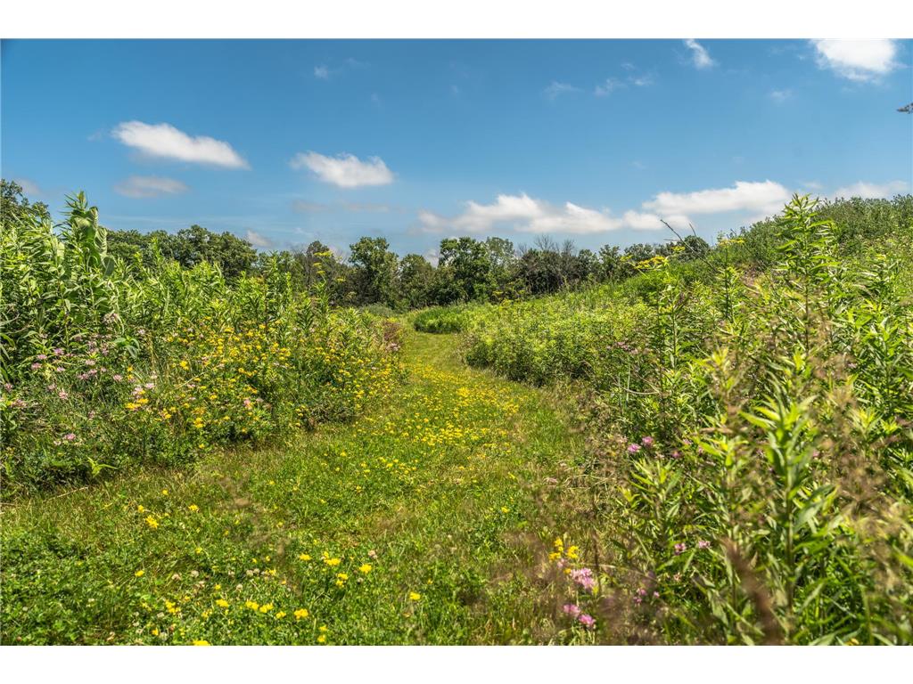 4080 Ironton Lane SW Rochester MN 55902 7106405 image49