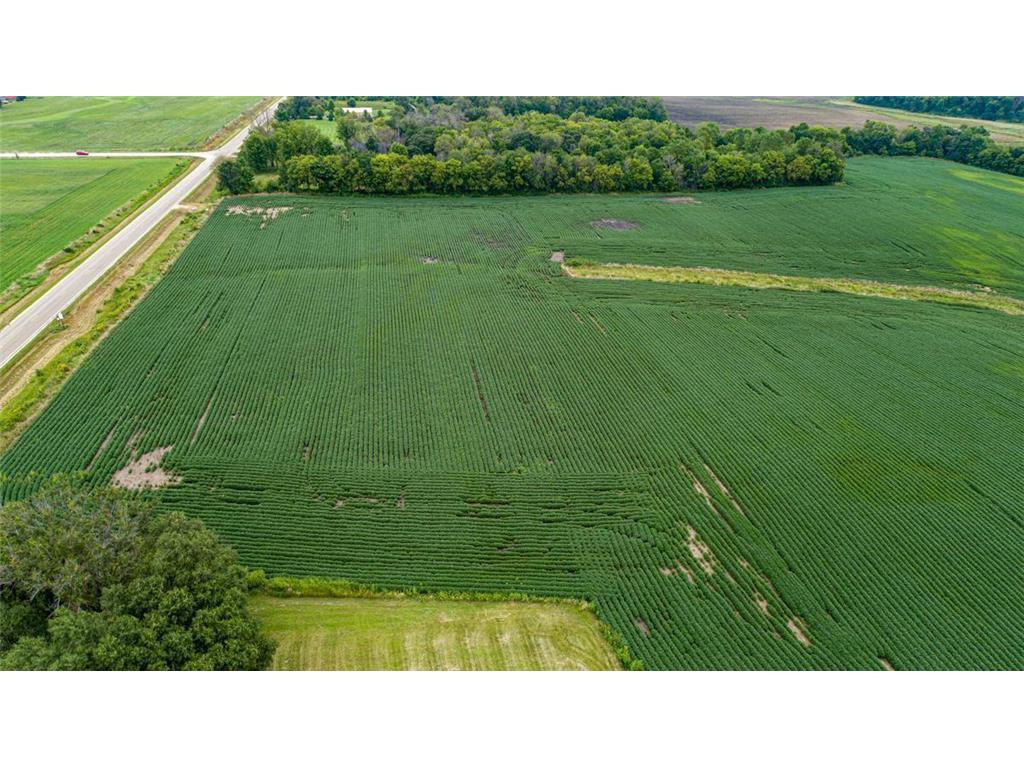 4081 Dassel Avenue Webster Twp MN 55088 6589030 image10