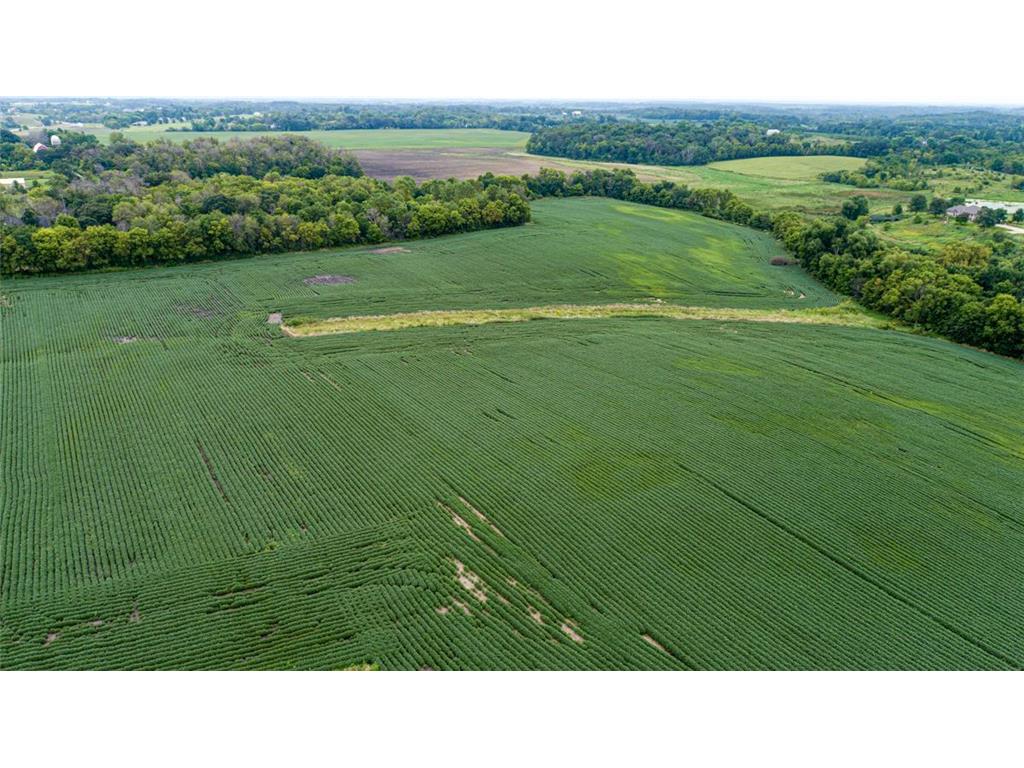 4081 Dassel Avenue Webster Twp MN 55088 6589030 image11