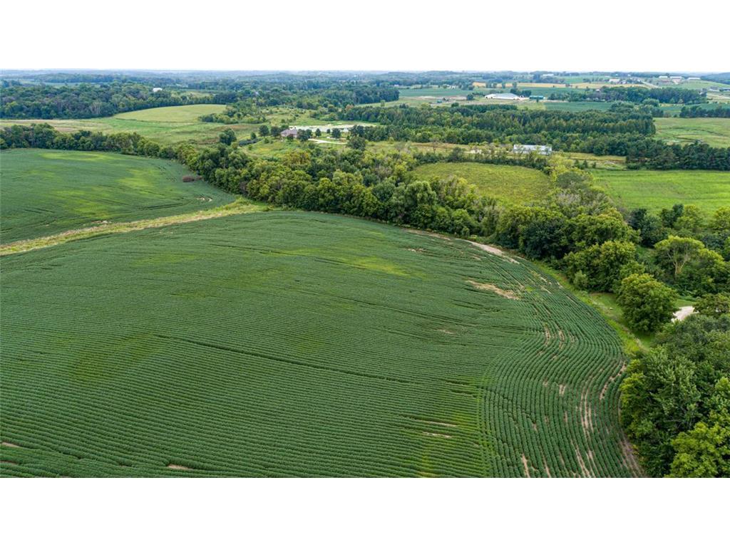 4081 Dassel Avenue Webster Twp MN 55088 6589030 image12