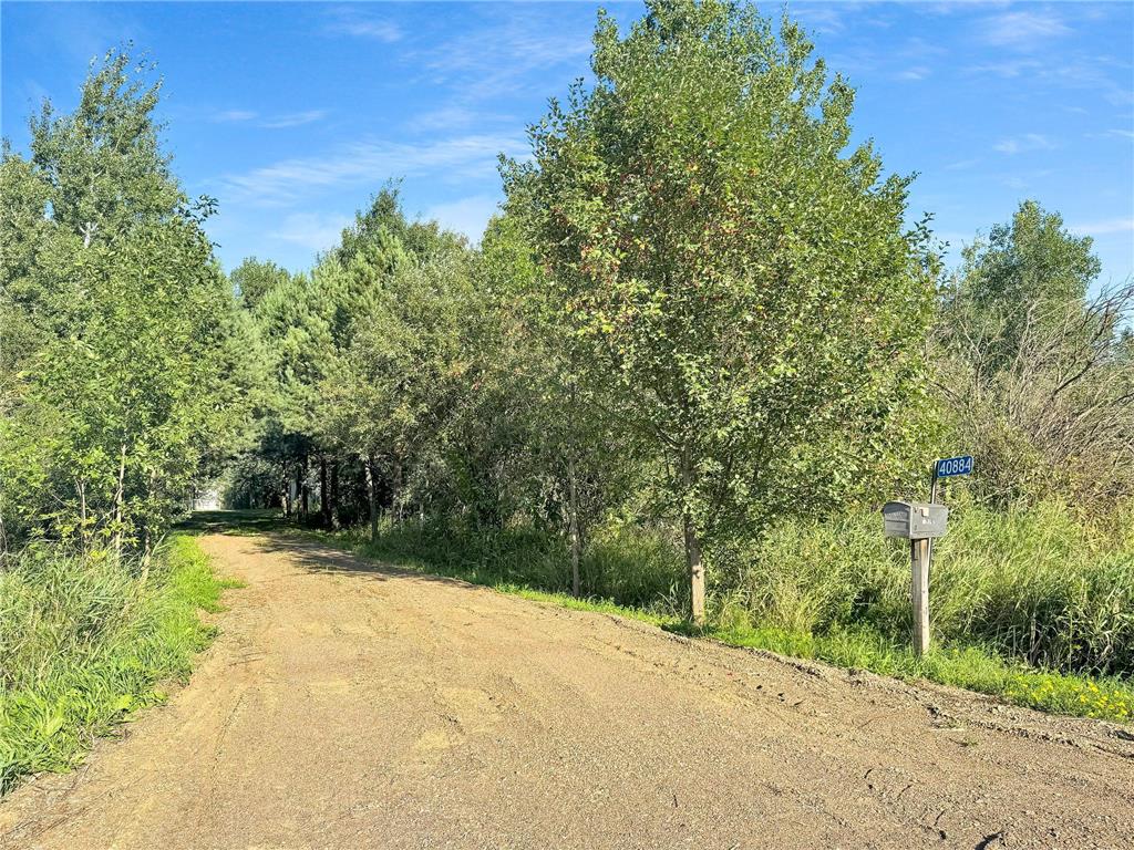 40884 Nature Avenue Fleming Twp MN 56431 6822424 image1