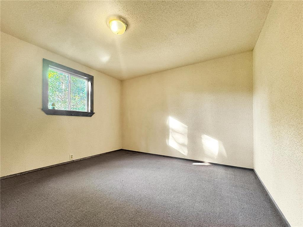 40884 Nature Avenue Fleming Twp MN 56431 6822424 image17