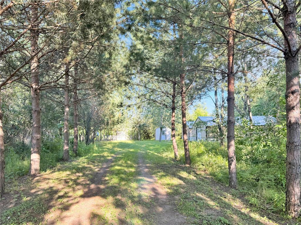 40884 Nature Avenue Fleming Twp MN 56431 6822424 image2