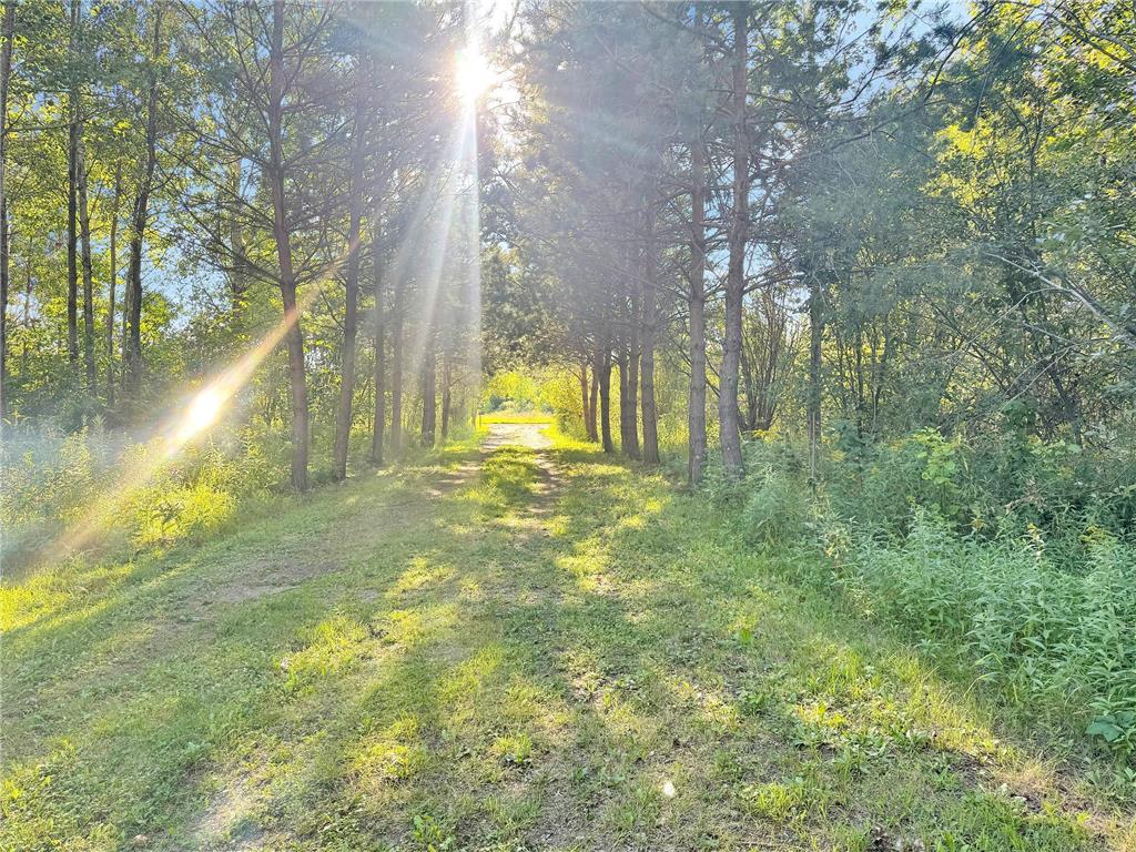 40884 Nature Avenue Fleming Twp MN 56431 6822424 image23